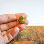 Kākāpō with a fern pendant