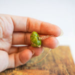 Kākāpō with a fern pendant