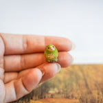 Kākāpō with a fern pendant