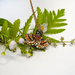 Tabby cat with a carnelian and wings pendant