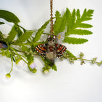 Tabby cat with a carnelian and wings pendant