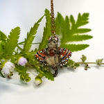 Tabby cat with a carnelian and wings pendant