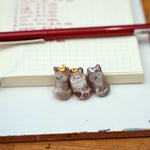 Snow Leopard with the gold Moon pendant