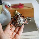 Death head moth
