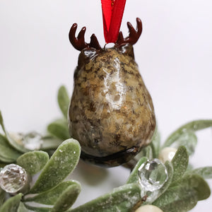 Pallas cat - Christmas tree ball