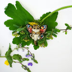 Pallas cat with wings pendant