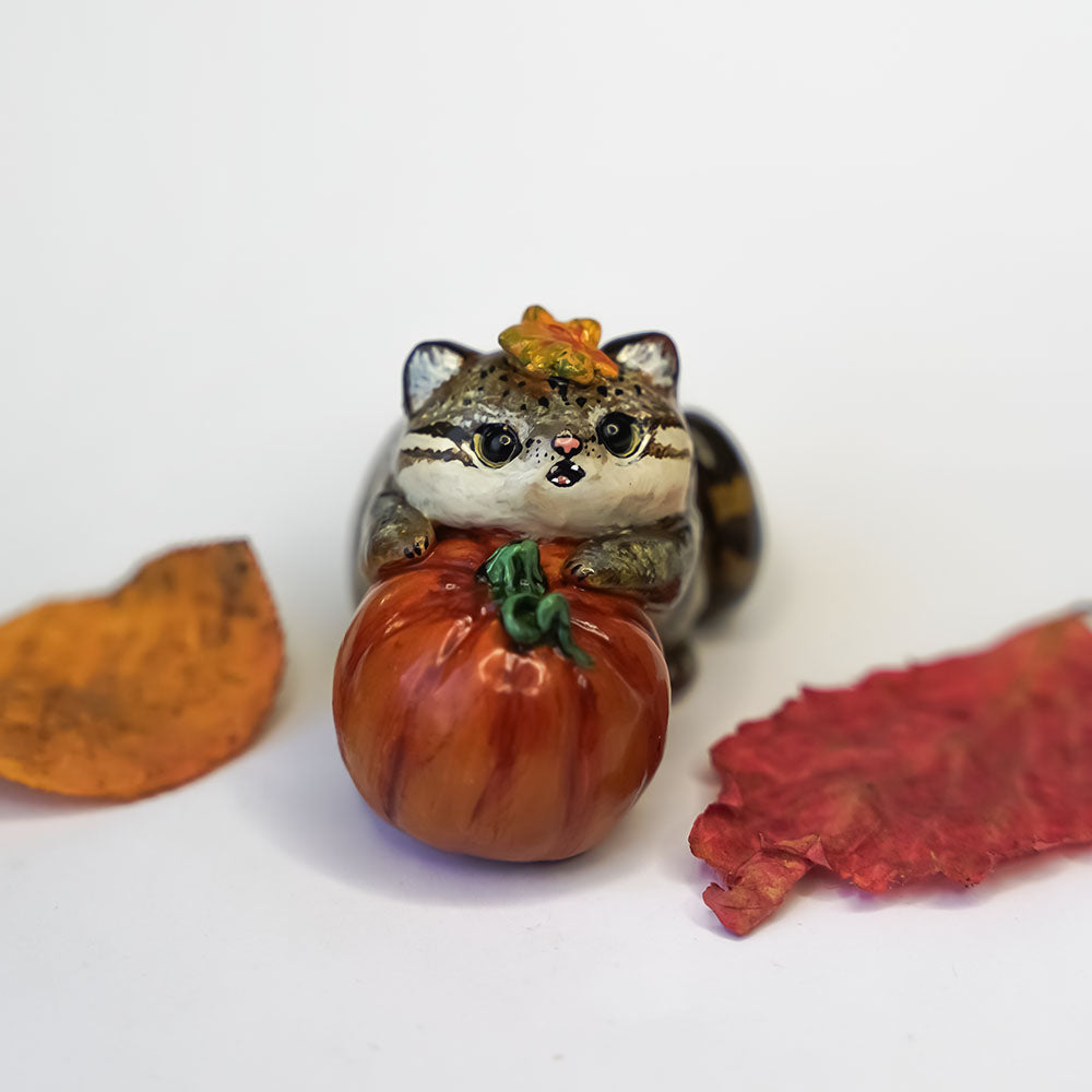 Pallas cat with pumpkin