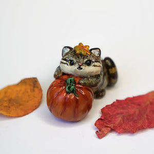 Pallas cat with pumpkin