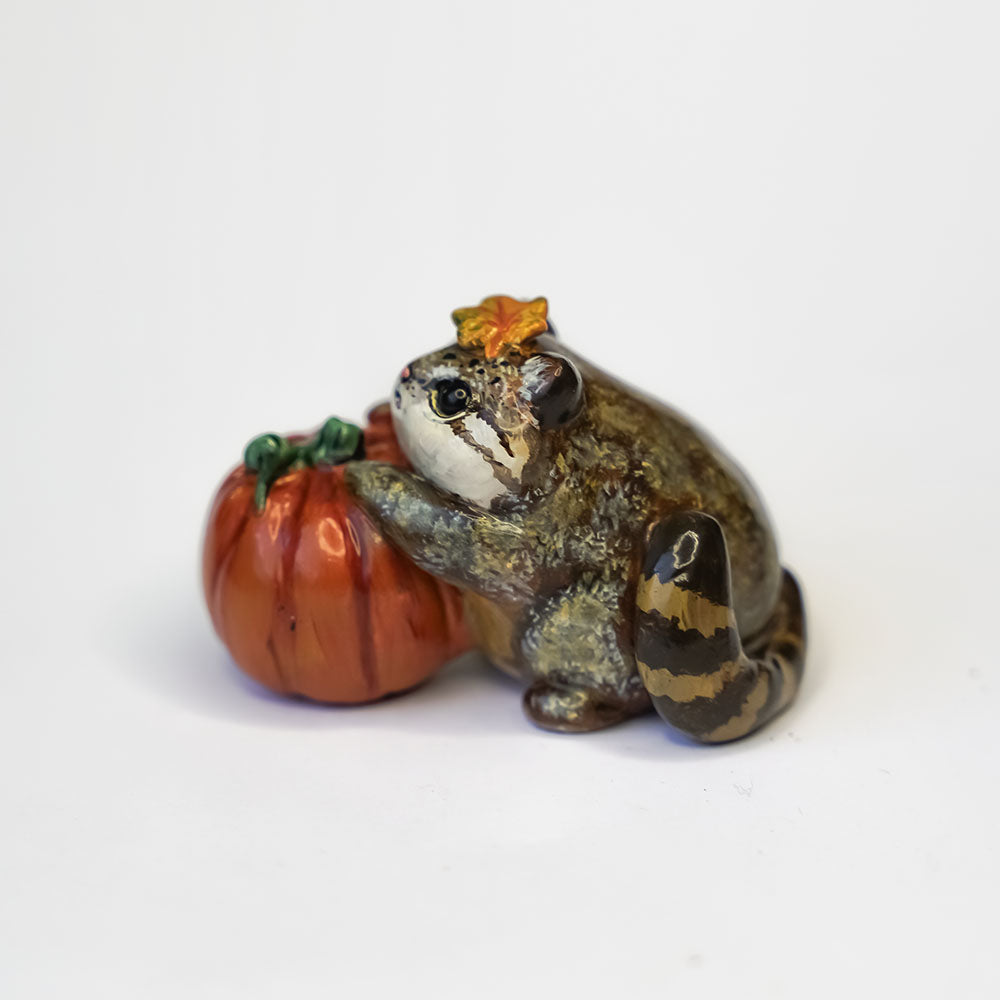 Pallas cat with pumpkin