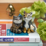 The peanut gallery - Pallas cat and Tibetan Fox