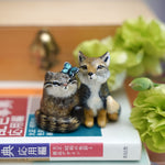 The peanut gallery - Pallas cat and Tibetan Fox