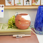 Dyed Porcelain vase with a panda