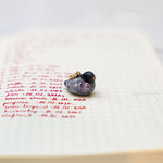 Pigeon with a lace pendant