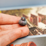 Tony the Pigeon