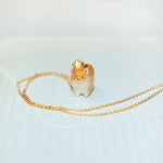 Pomeranian with a star pendant