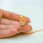 Pomeranian with a star pendant