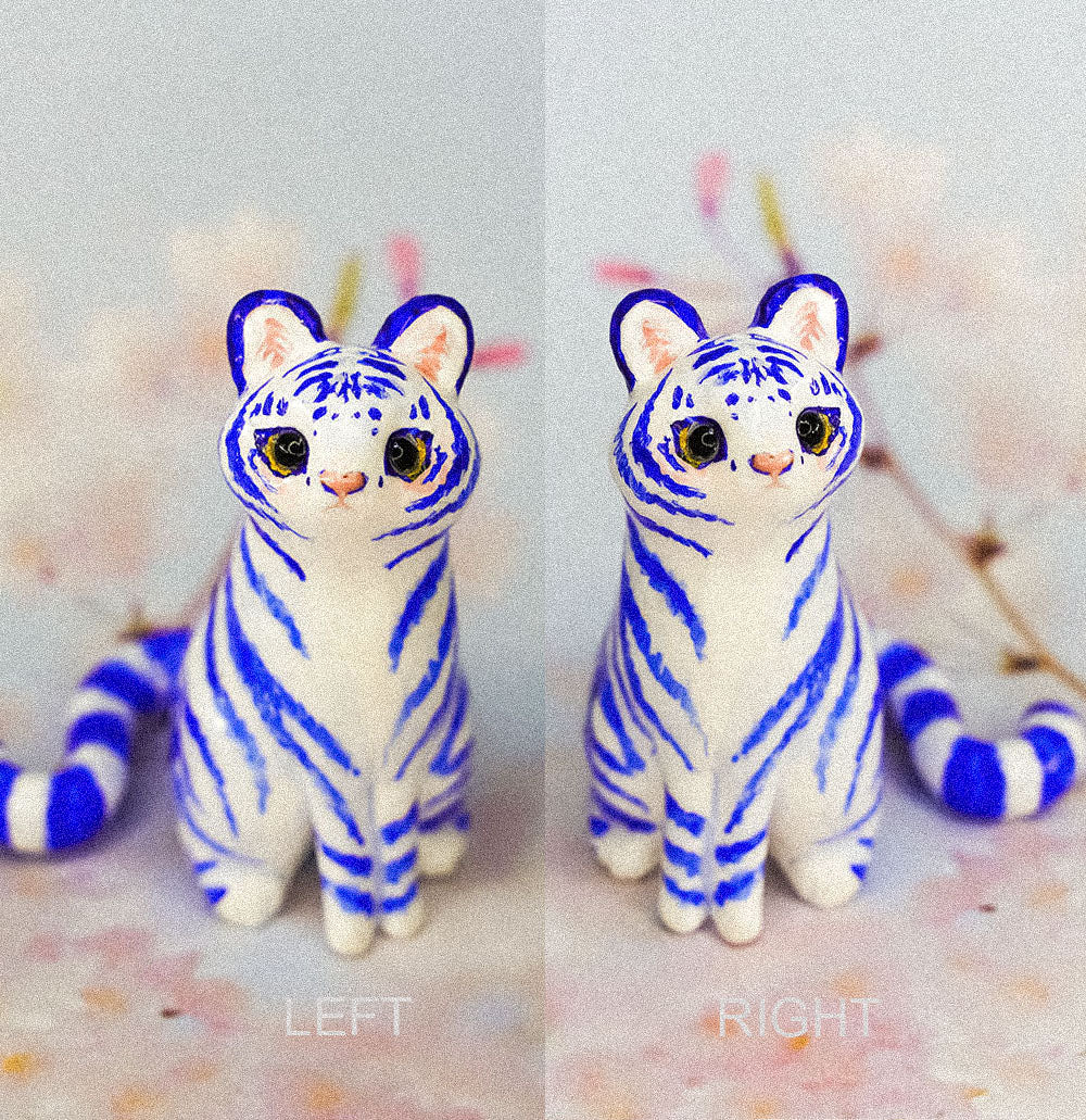 White&blue tiger with koi