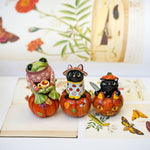 Autumn frog