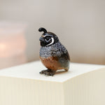 California Quail