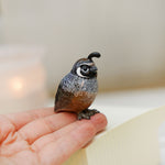 California Quail