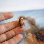 Robin with a lace pendant