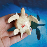 Green turtle with ringed octopus and school of fish figurine