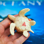 Green turtle with ringed octopus and school of fish figurine