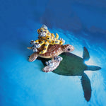Green turtle with ringed octopus and school of fish figurine