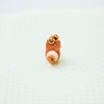 Shiba with a star pendant