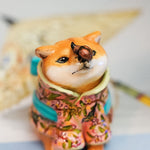Disgusted Shiba