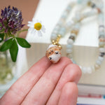 Shiba with a butterfly