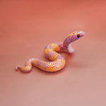 Purple- orange snake