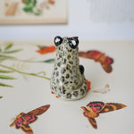 Snow Leopard in the meadow