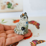 Snow Leopard in the meadow