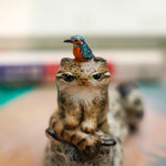 Snow leopard with annoying pallas cat and kingfisher