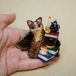 Tabby cat with dusty treasures