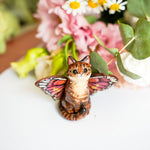 Tabby Catfly with pink butterfly wings