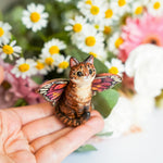 Tabby Catfly with pink butterfly wings