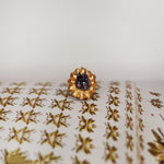 Tapir with the Sun pendant