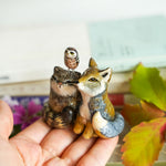The peanut gallery - Pallas cat, Tibetan Fox and Owl