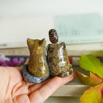 The peanut gallery - Pallas cat, Tibetan Fox and Owl