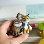 The peanut gallery - Pallas cat, Tibetan Fox and Owl
