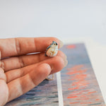 Tufted titmouse with a star pendant