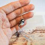 Wagtail white with a lace pendant