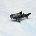 Whale Shark with a lace