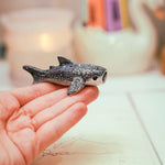 Whale Shark with a lace