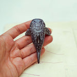 Whale Shark with a lace