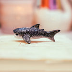Whale Shark with a lace