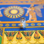 Wolf with a star pendant